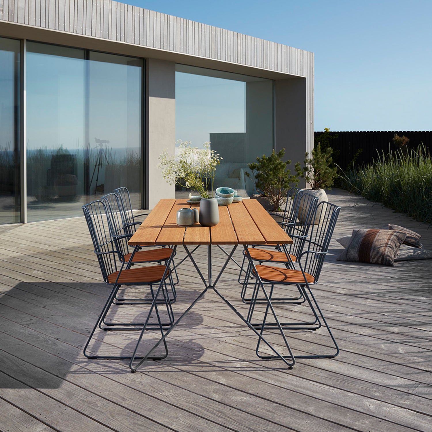 Paon Dining Chair - The Design Choice