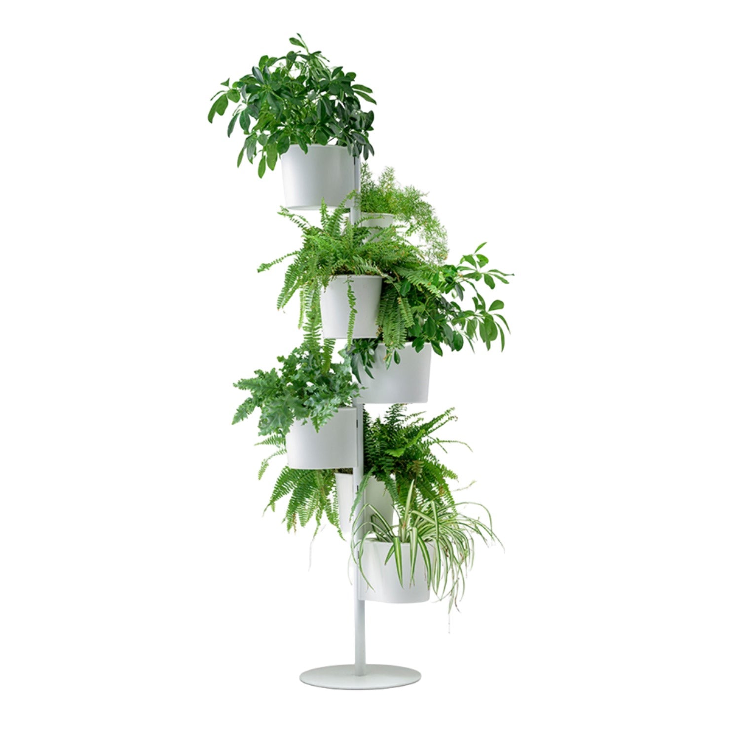 Pedrali Hevea plant stand in white with plants