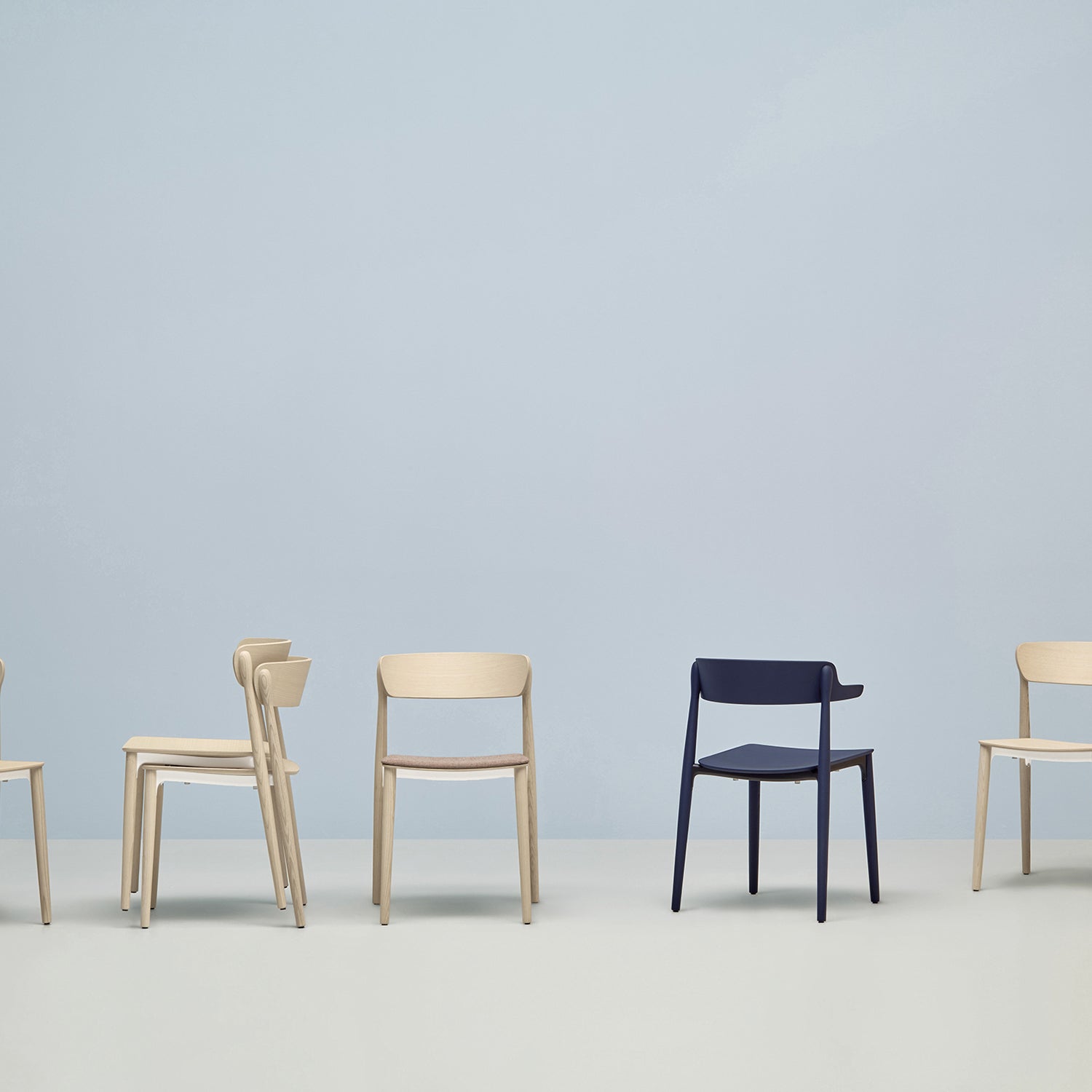 Pedrali Nemea 2820 and 2825 dining chairs in light blue studio setting