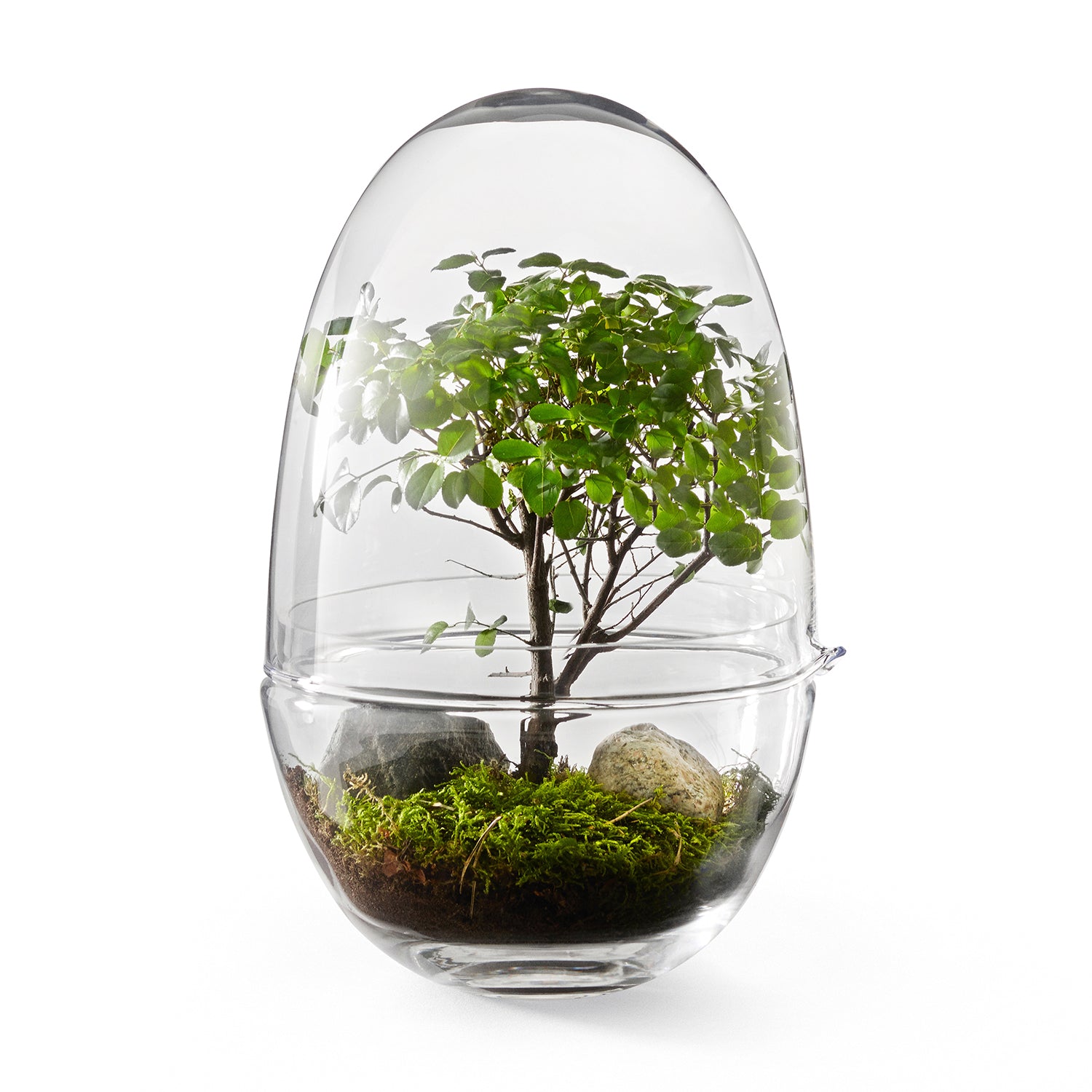 Design House Stockholm Grow Greenhouse glass terrarium large