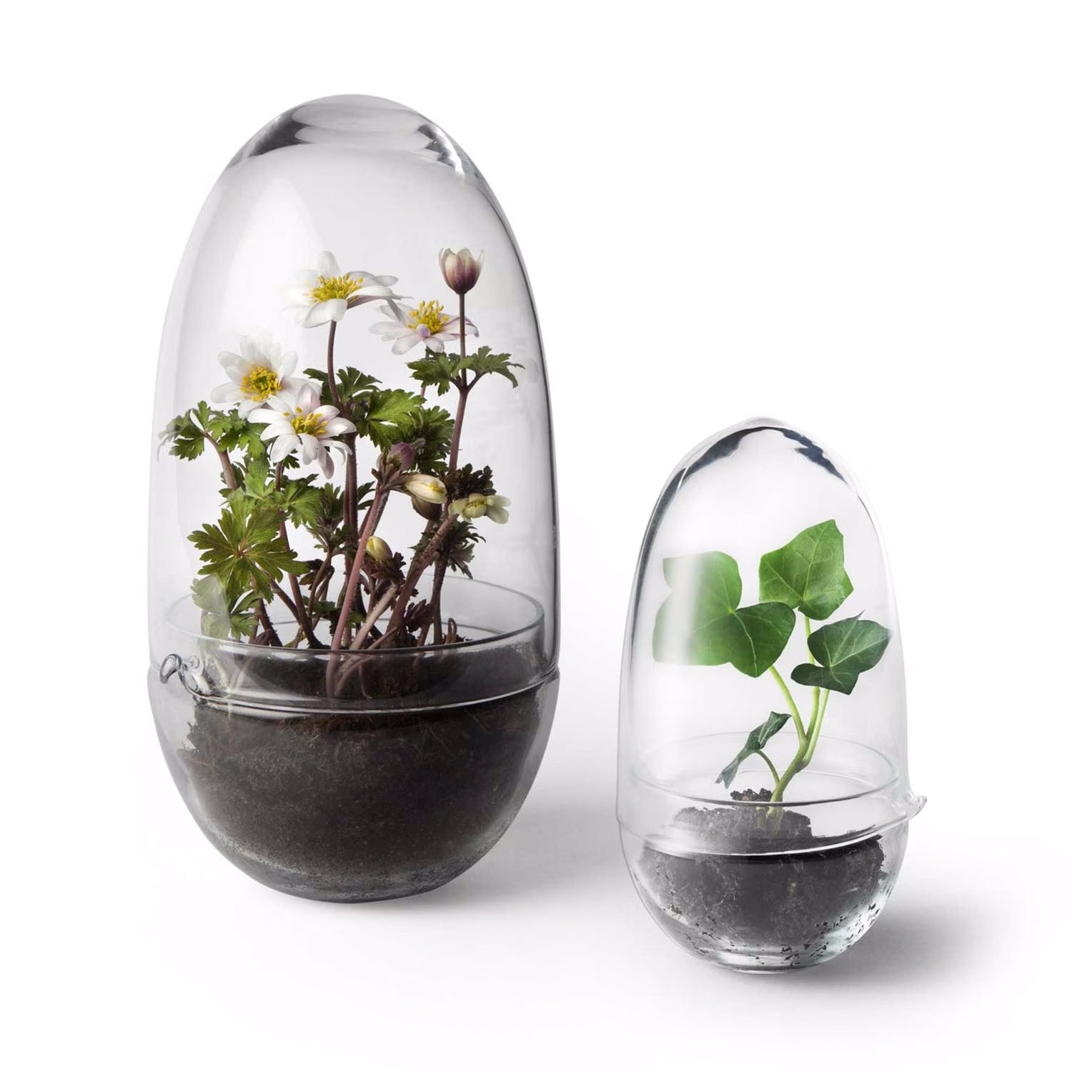 Design House Stockholm Grow Greenhouse glass terrarium family