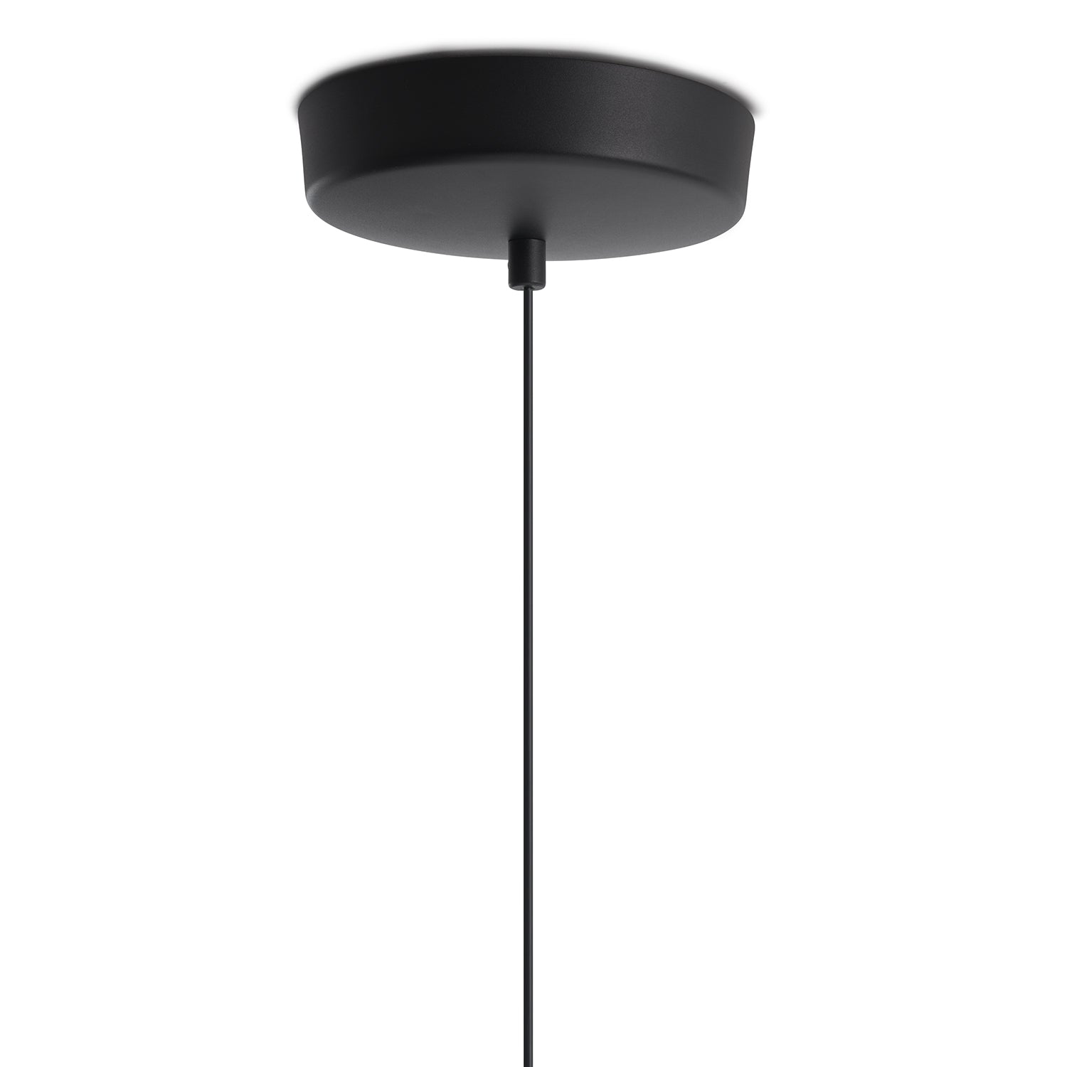 Tense Pendant Lamp - The Design Choice