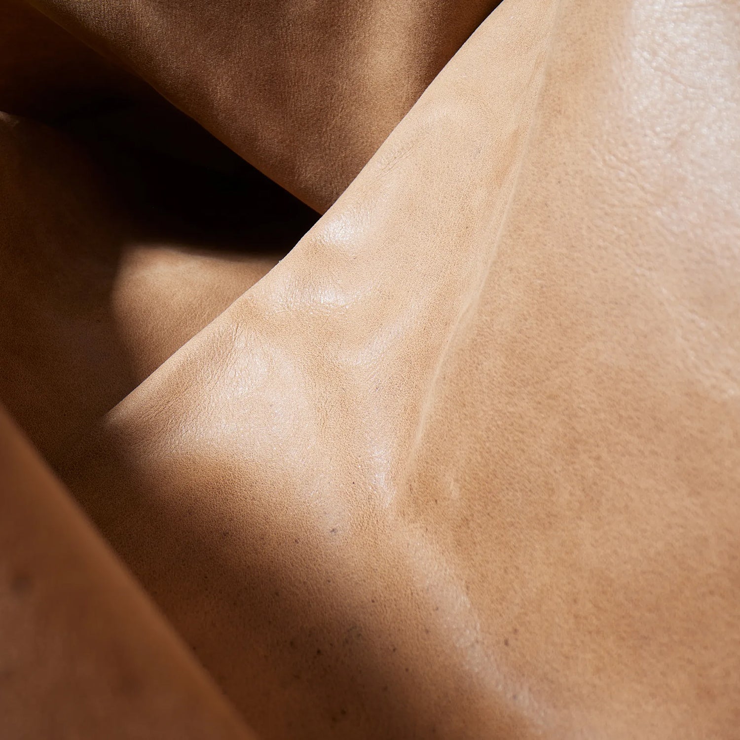 Camel Leather