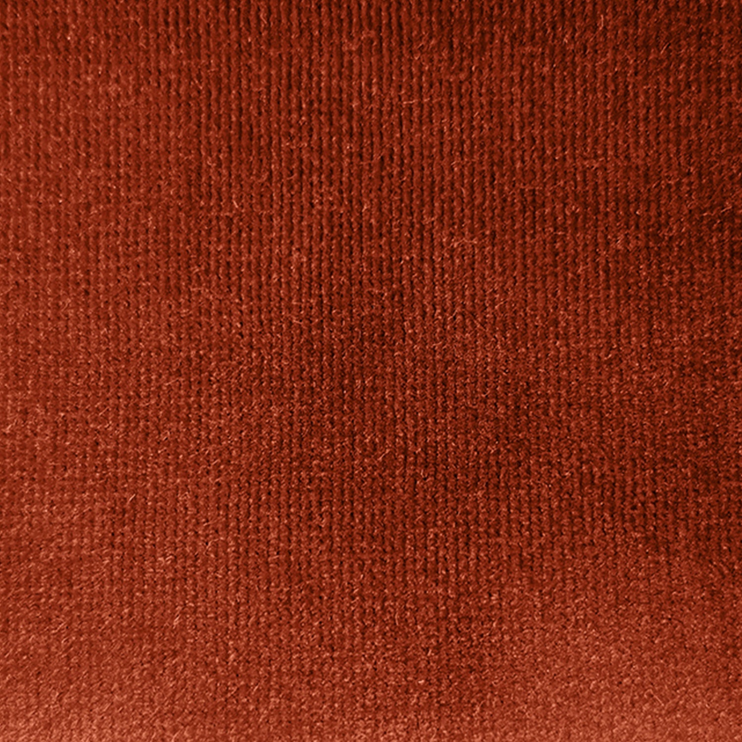 Sovet Italia Velvet fabric sample