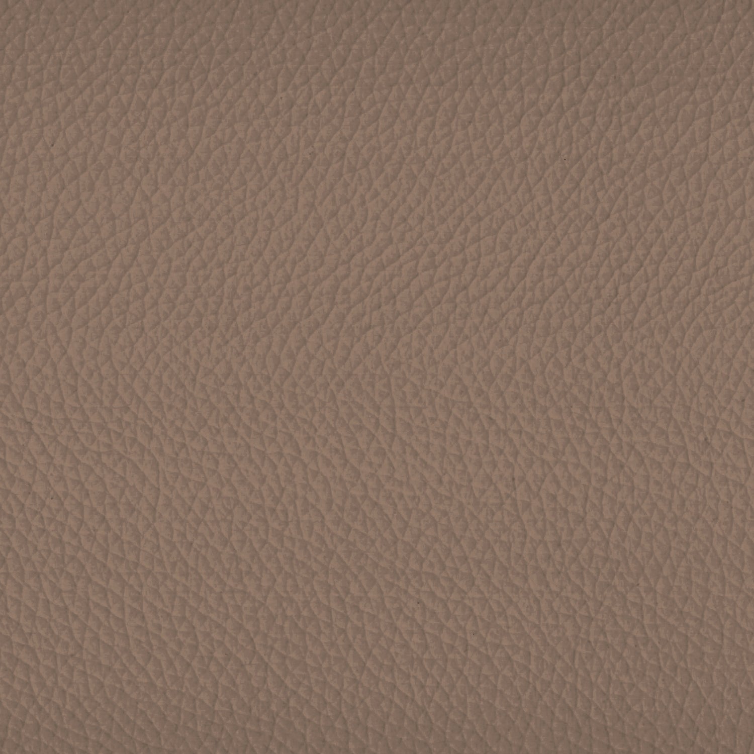 Sovet Italia Leather fabric sample