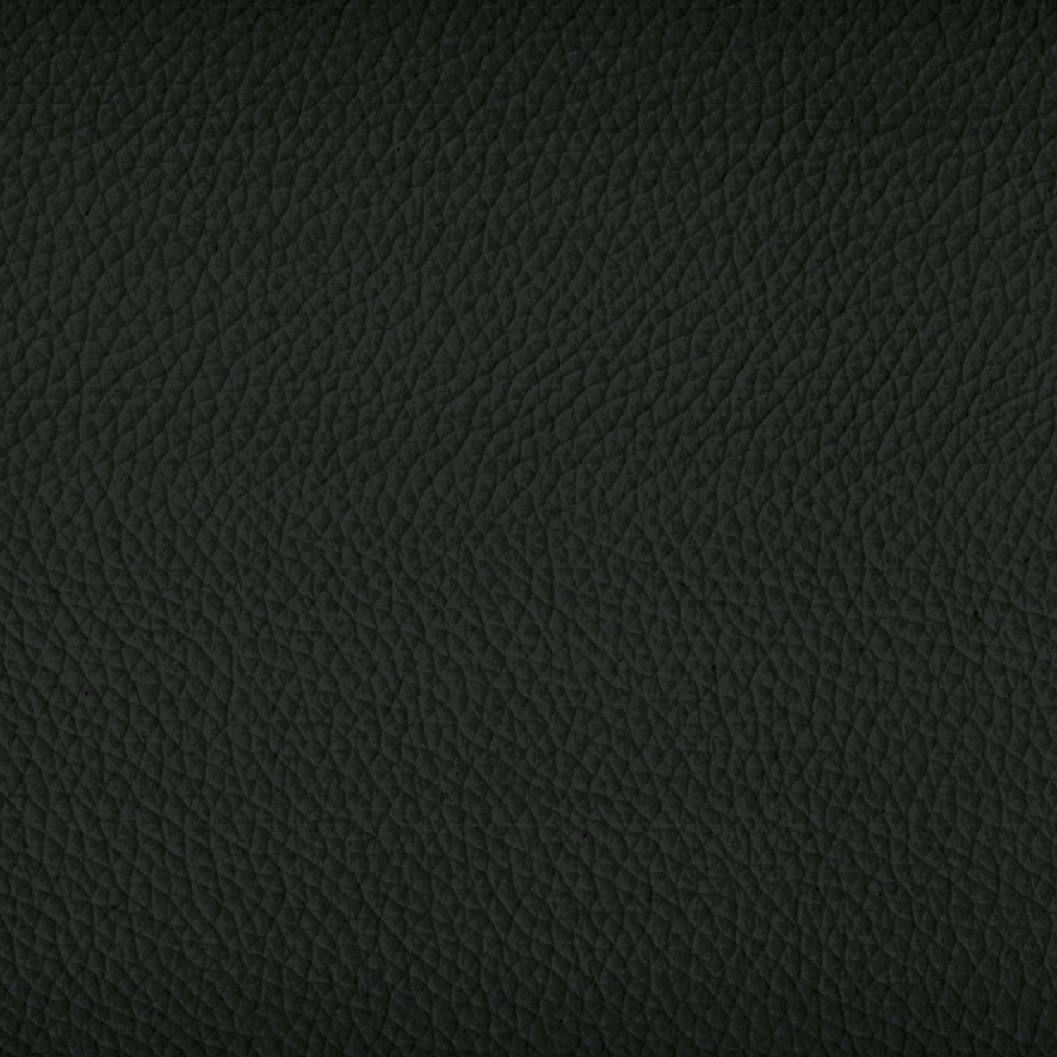 Sovet Italia Leather fabric sample